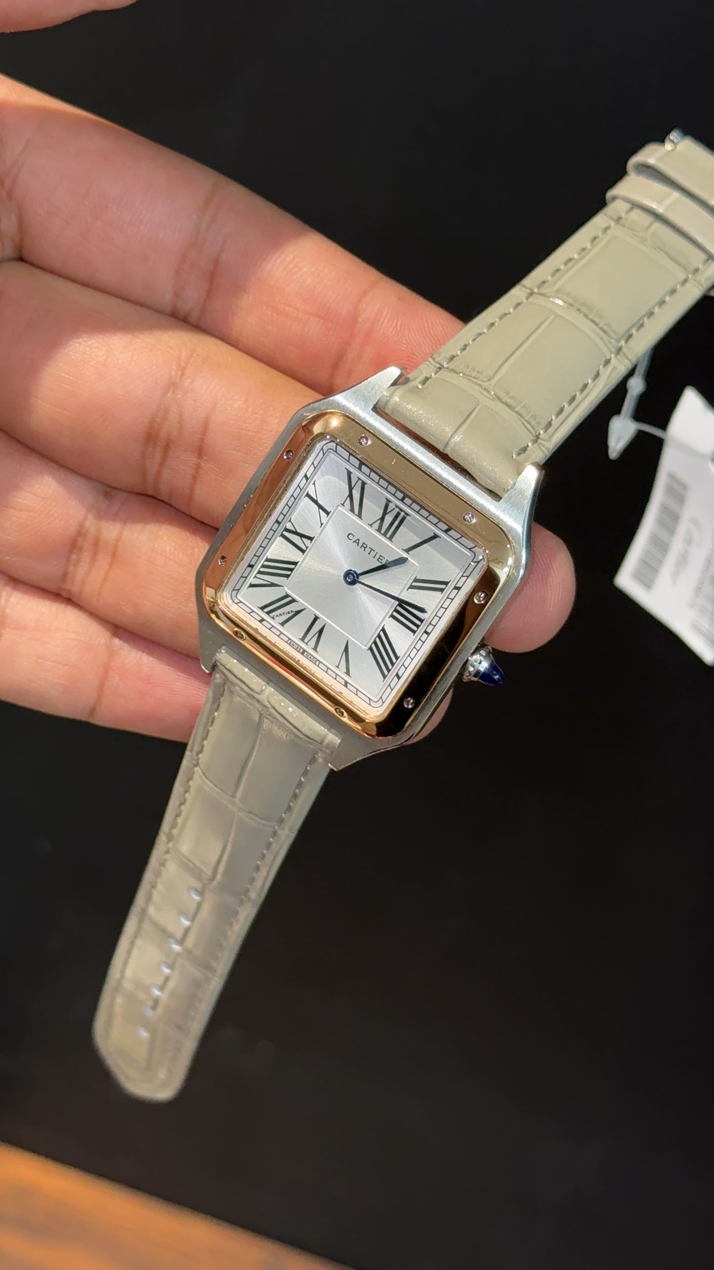 Cartier Santos | Rose Two Tone Case | Light Grey Dumont Strap | White Dial