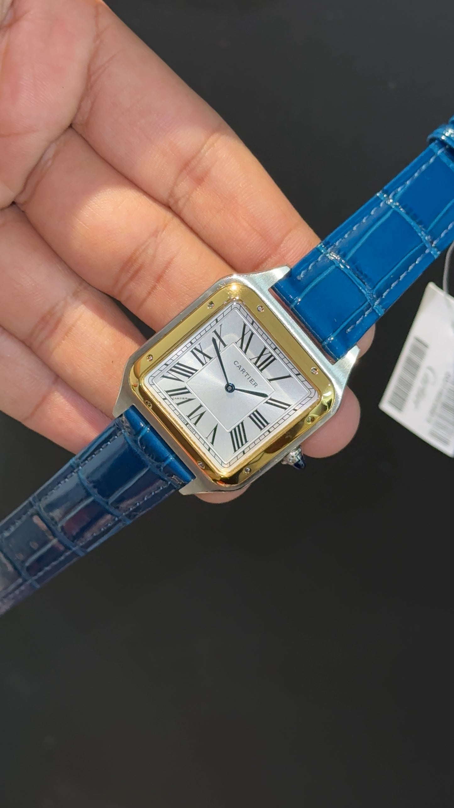 Cartier Santos | Gold Two Tone Case | Blue Dumont Strap | White Dial