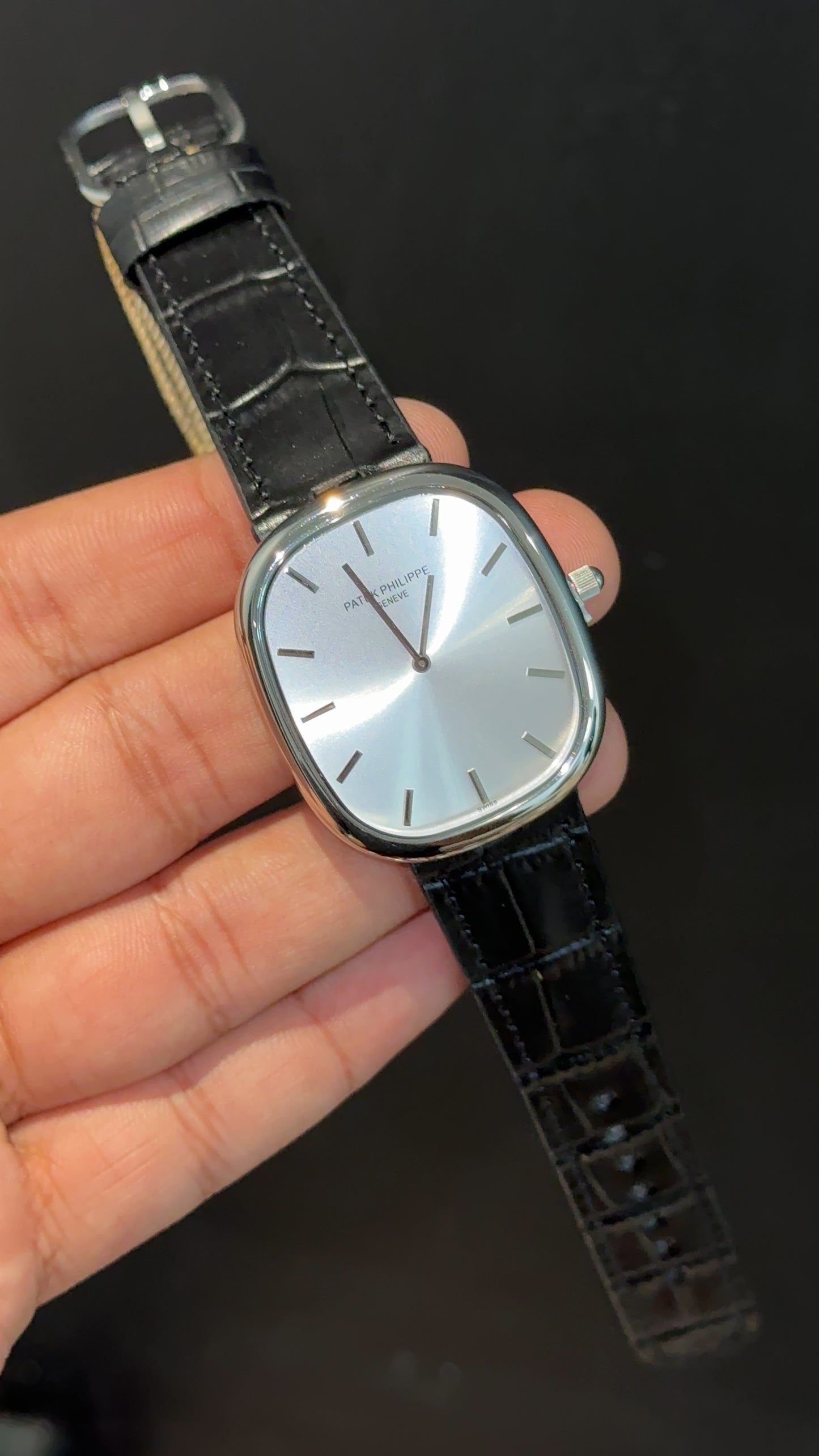 Pp Ellipse | Silver Case | Black Leather Strap | White Ebony Dial