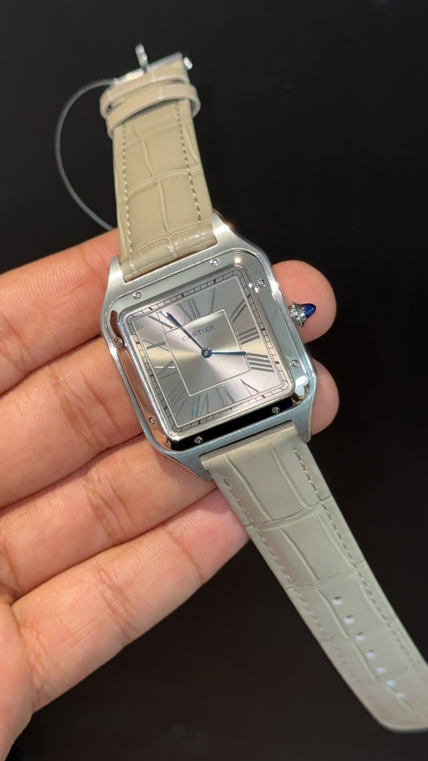 Cartier Santos | Silver Case | Light Grey Dumont Strap | Greyish Dial