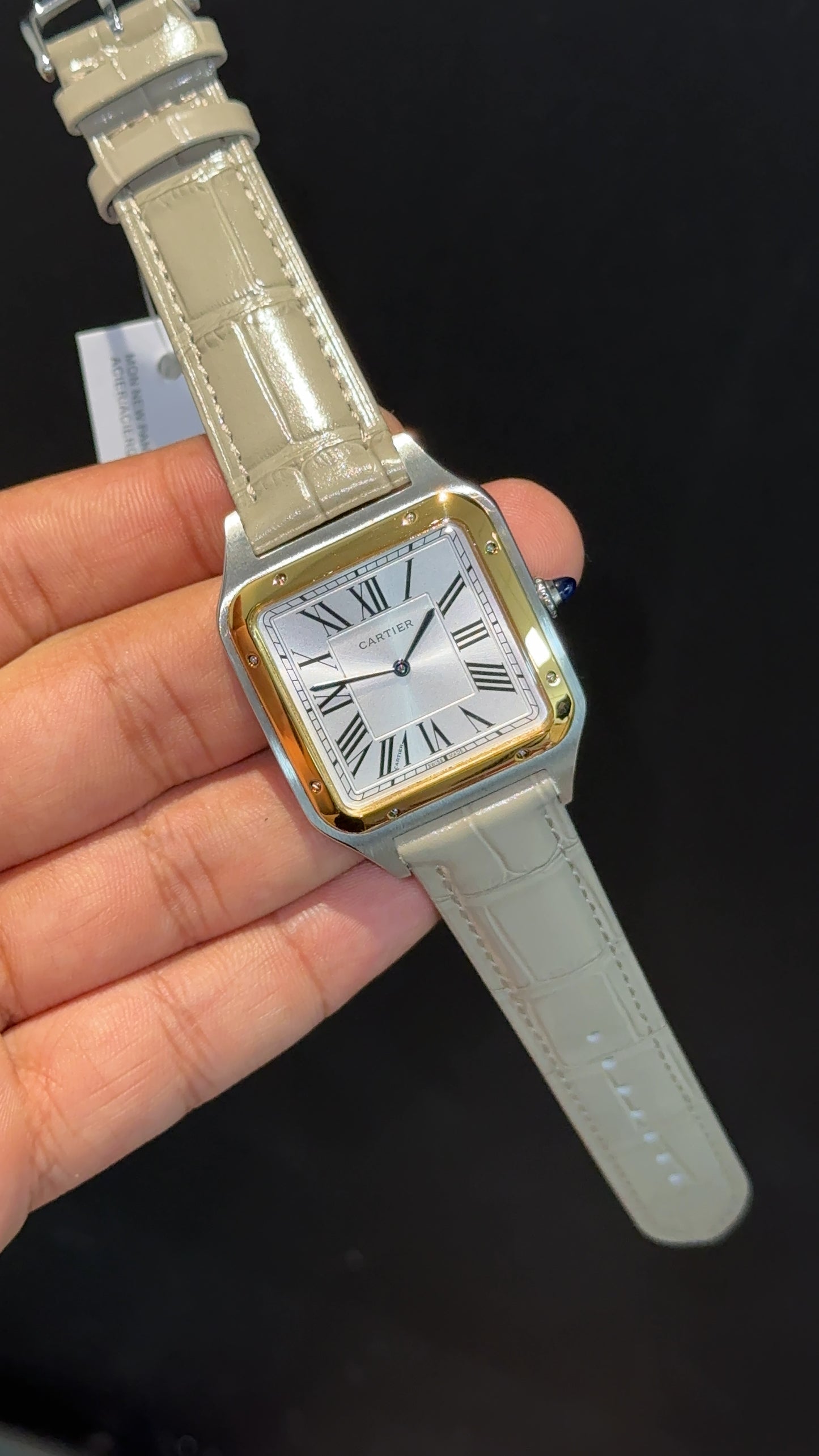 Cartier Santos | Gold Two Tone Case | Grey Dumont Strap | White Dial