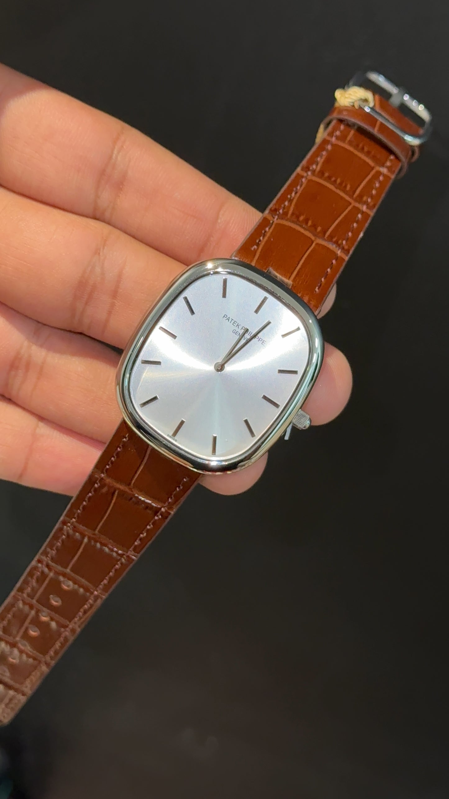 Pp Ellipse | Silver Case | Brown Leather Strap | White Ebony Dial