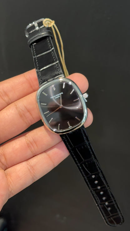 Pp Ellipse |Silver Case | Black Leather Strap | Black Ebony Dial