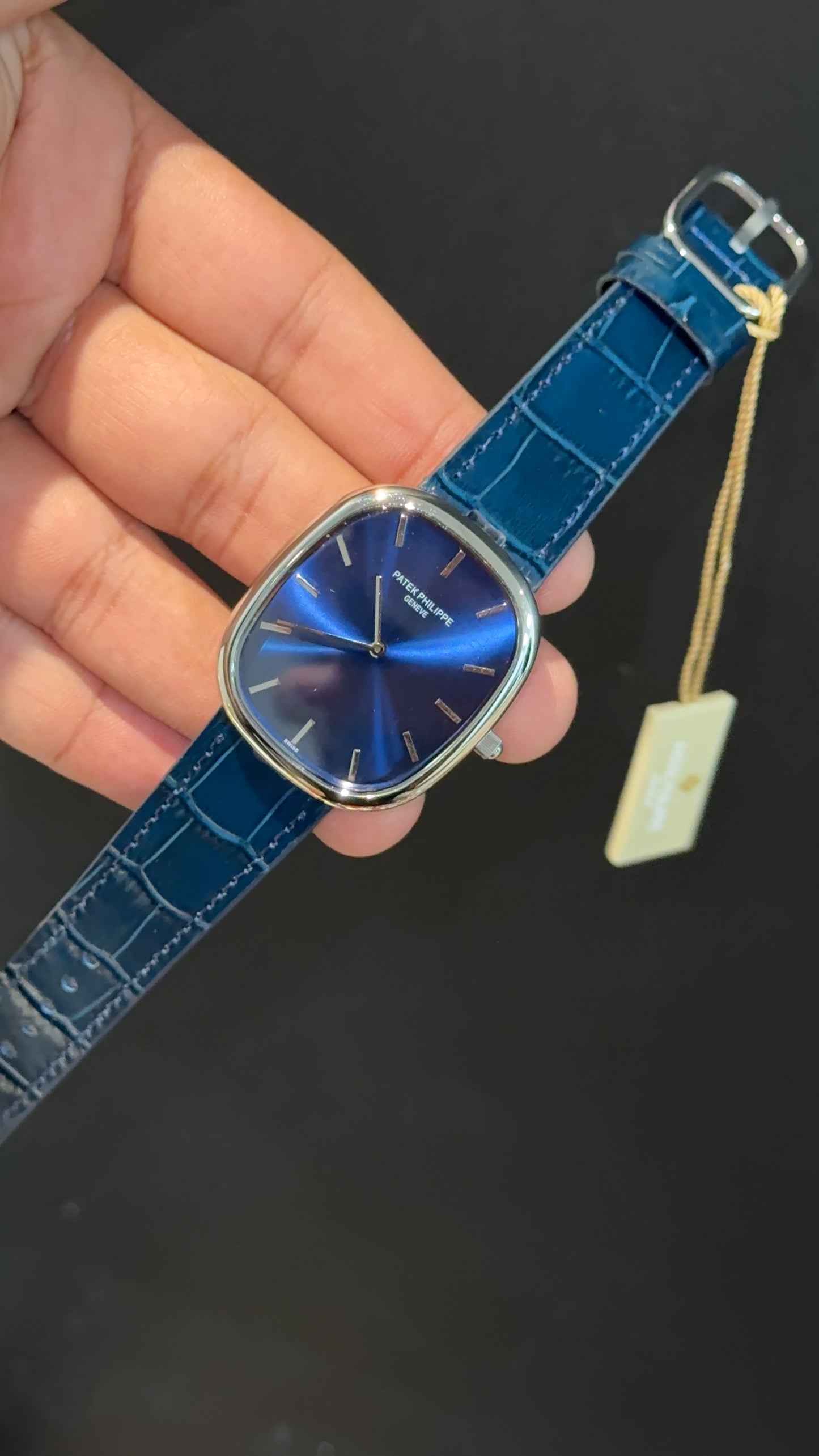 Pp Ellipse | Silver Case | Blue Leather Strap | Blue Ebony Dial