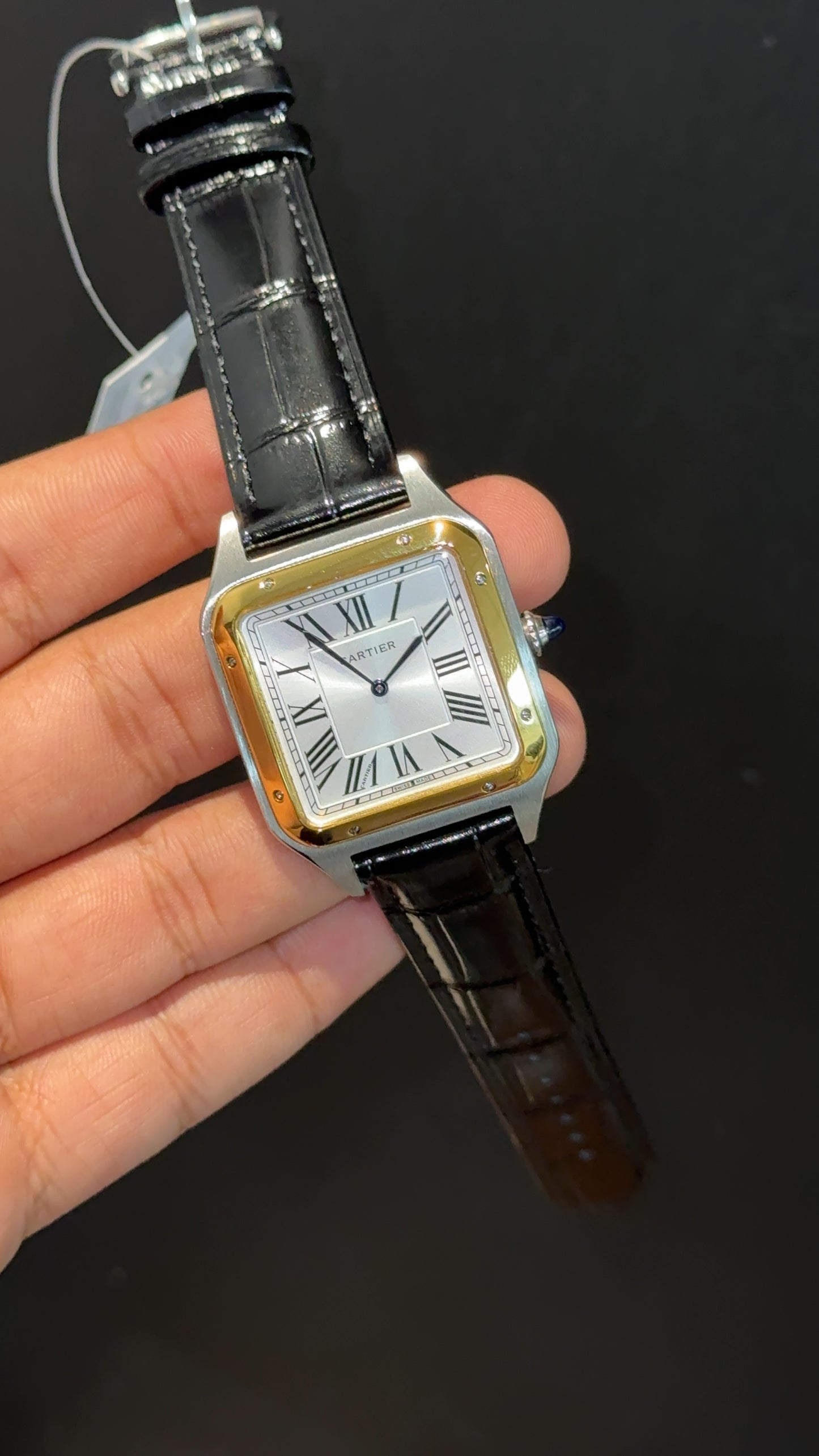 Cartier Santos | Gold Two Tone Case | Black Dumont Strap | White Dial