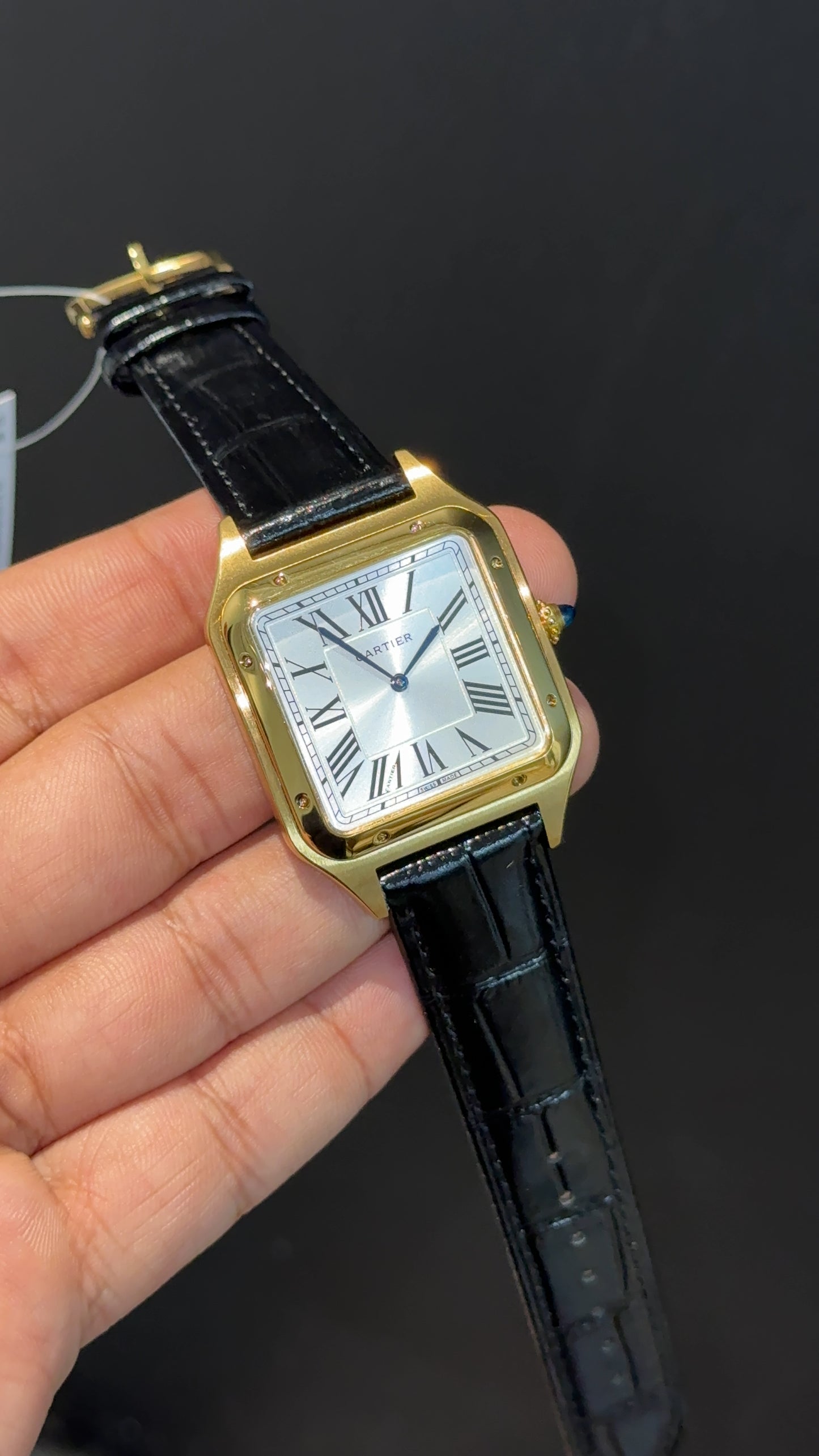 Cartier Santos | Gold Case | Black Dumont Strap | White Dial