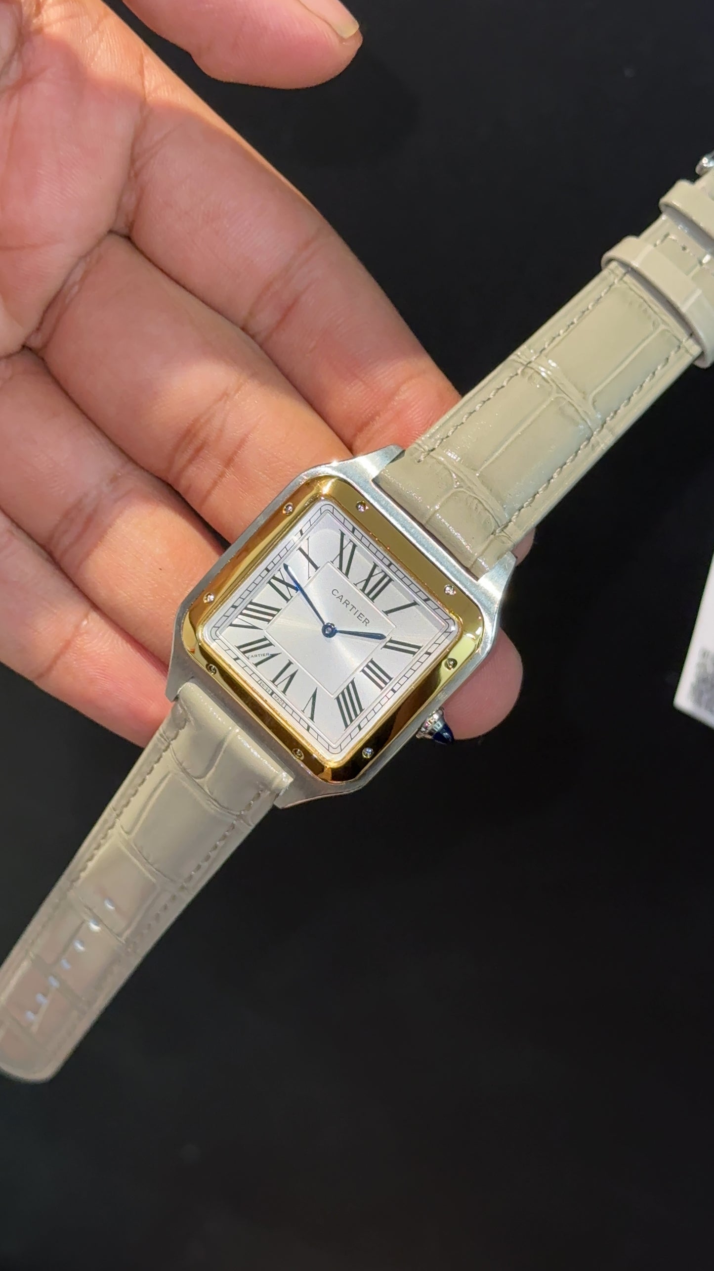 Cartier Santos | Gold Two Tone Case | Grey Dumont Strap | White Dial