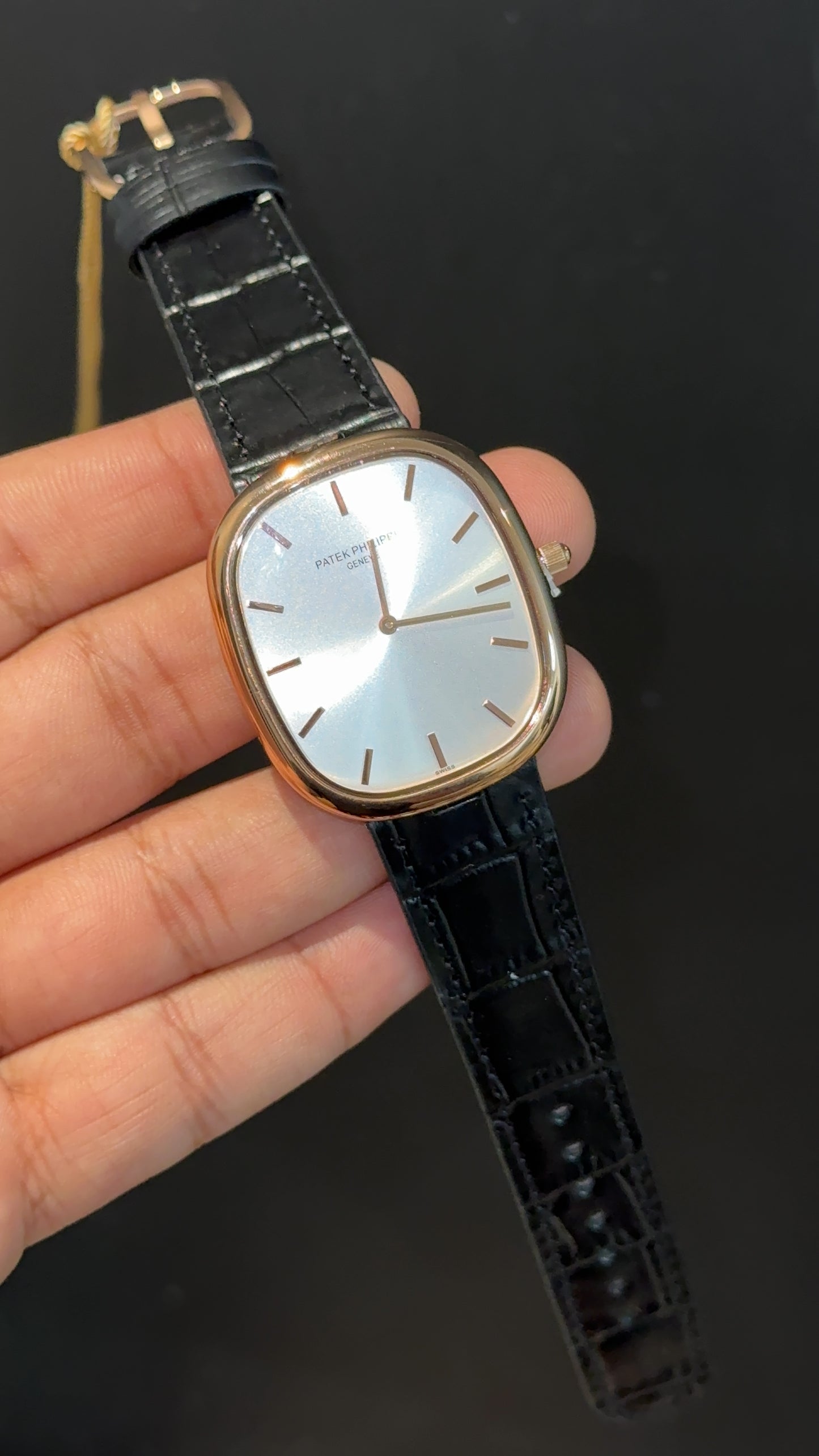 Pp Ellipse | Rose Case | Black Leather Strap | White Ebony Dial