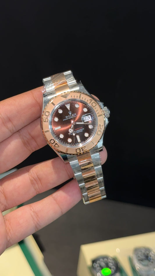 Premium Yatch Master | Rose Two Tone Chain | Rose Bezel | Choco Brown Dial