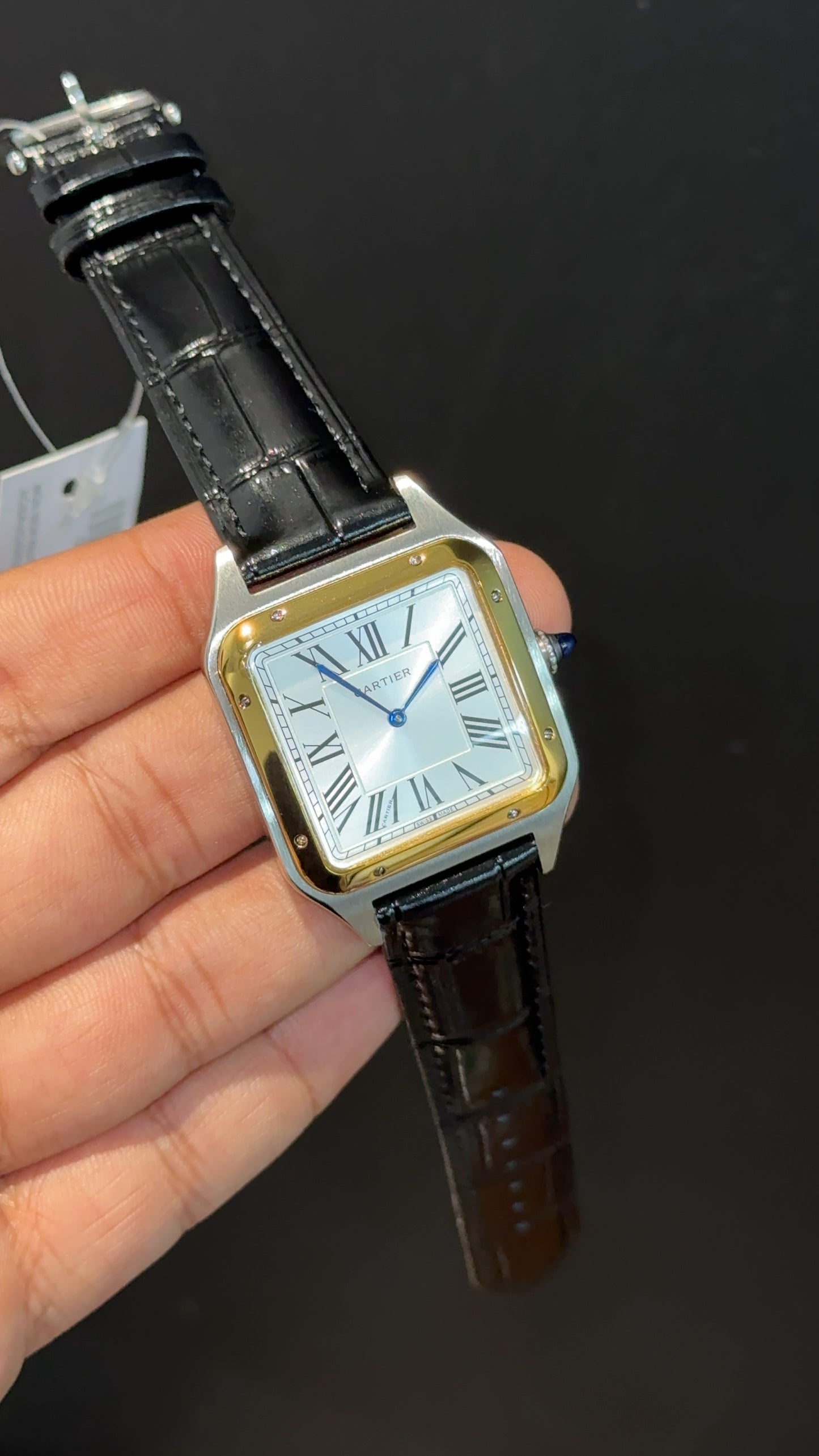 Cartier Santos | Gold Two Tone Case | Black Dumont Strap | White Dial