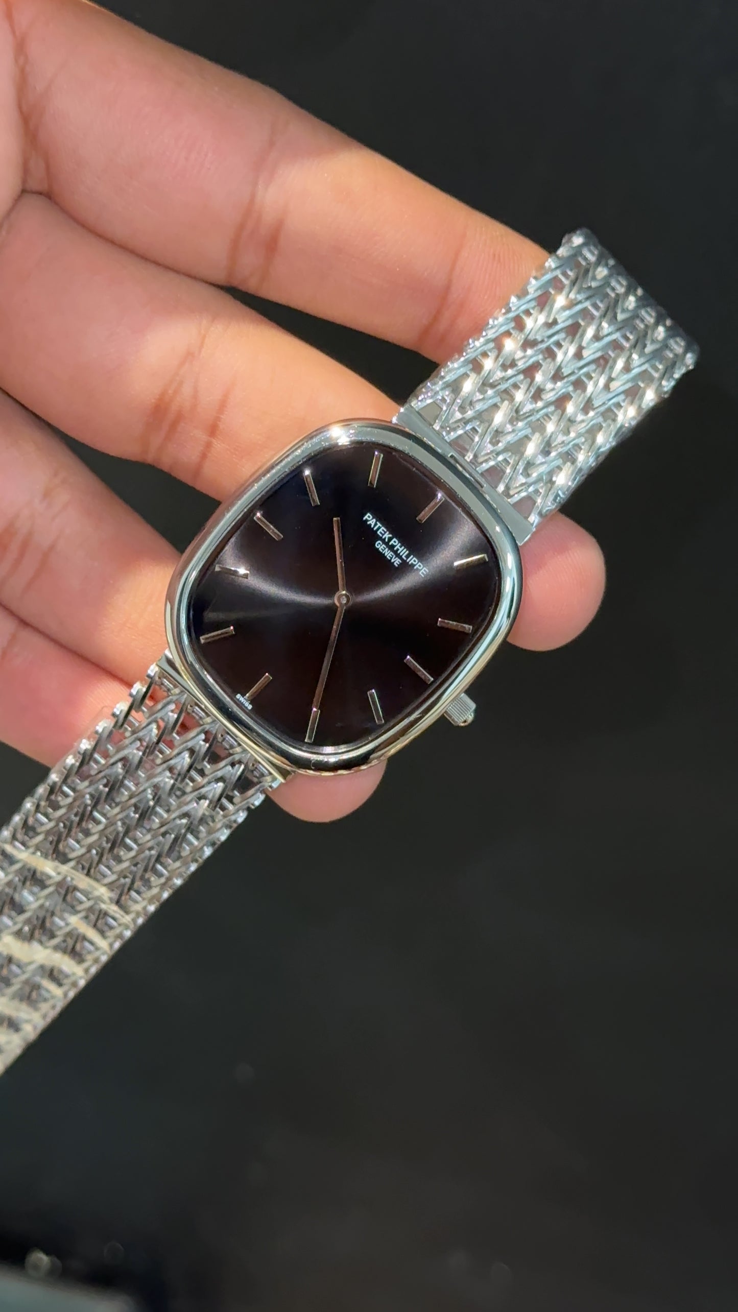 Pp Ellipse | Silver Mesh Chain | Black Ebony Dial