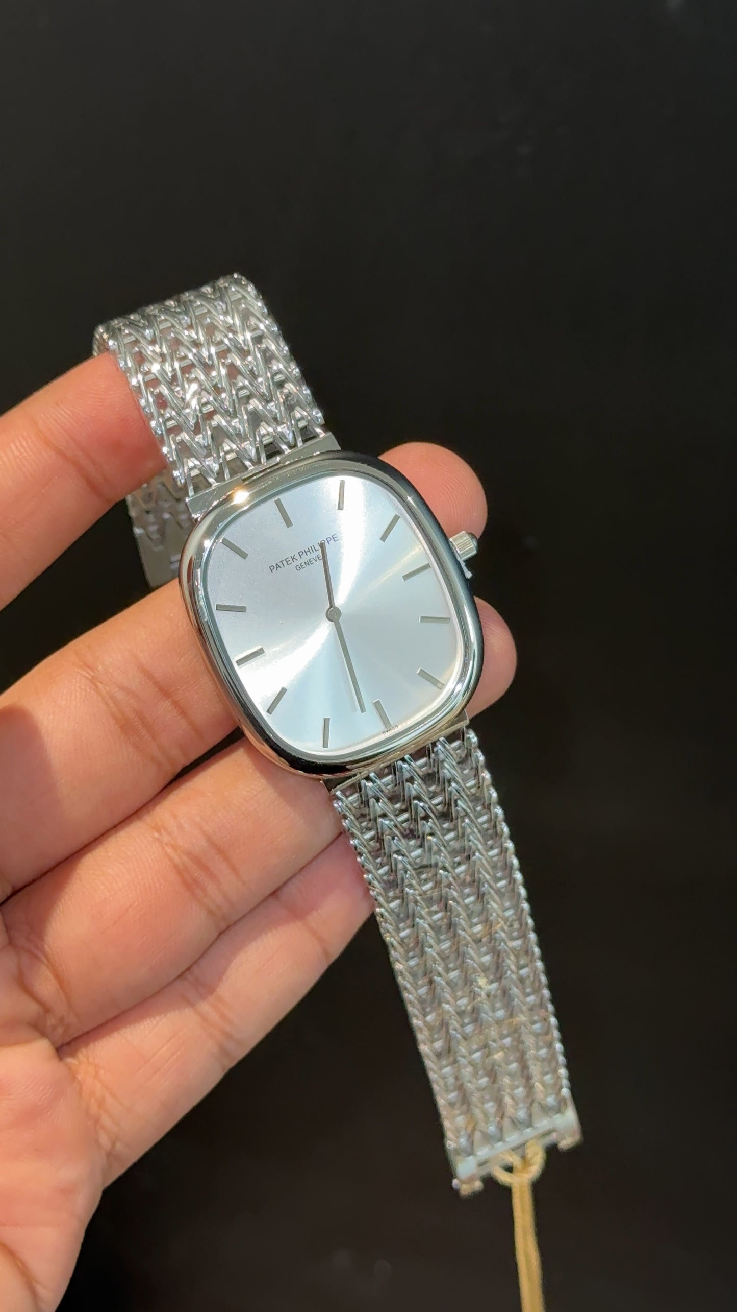 Pp Ellipse | Silver Mesh Chain | White Ebony Dial