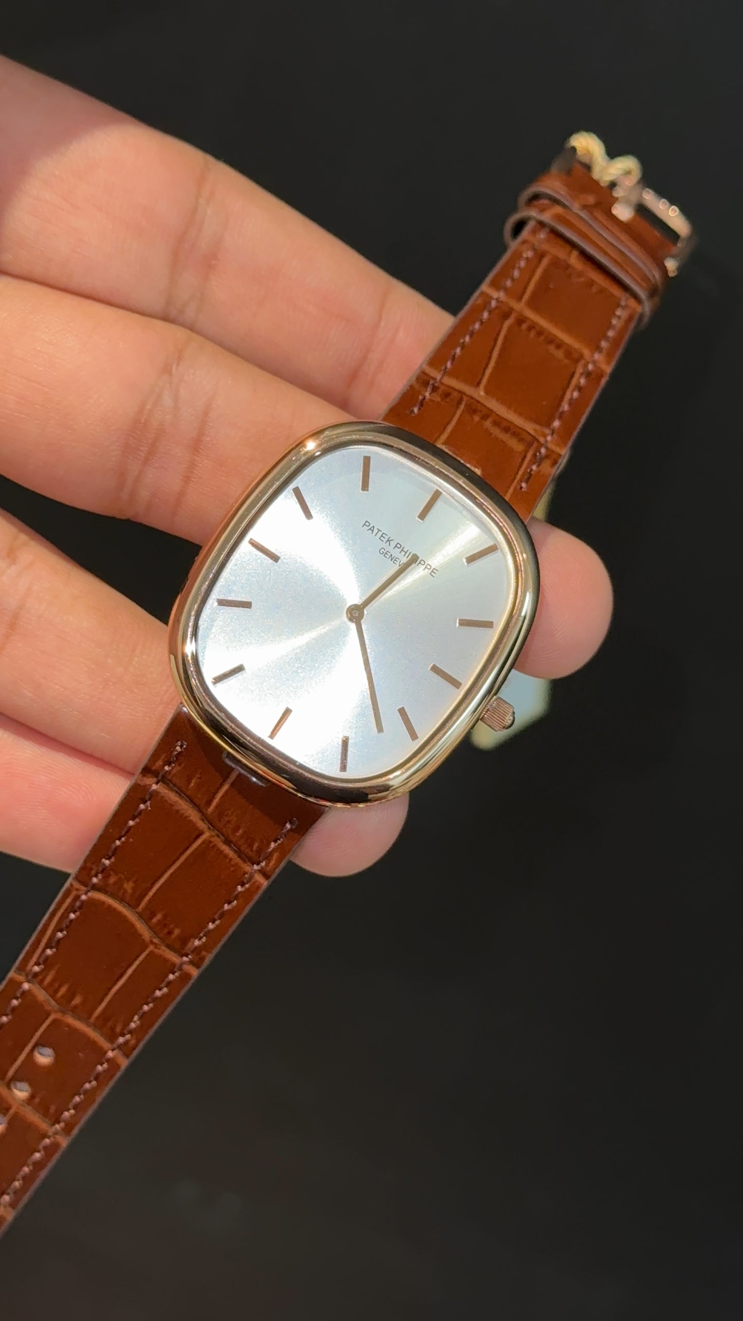 Pp Ellipse | Rose Case | Brown Leather Strap | White Ebony Dial
