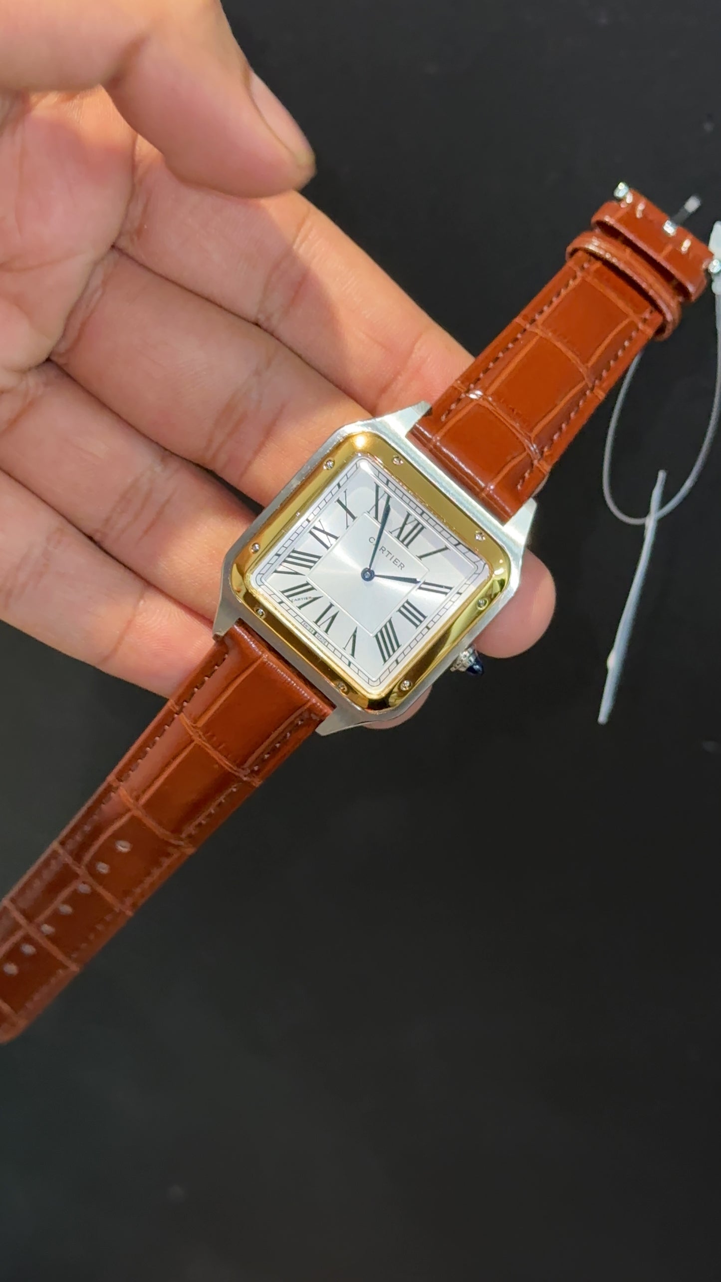 Cartier Santos | Gold Two Tone Case | Brown Dumont Strap | White Dial