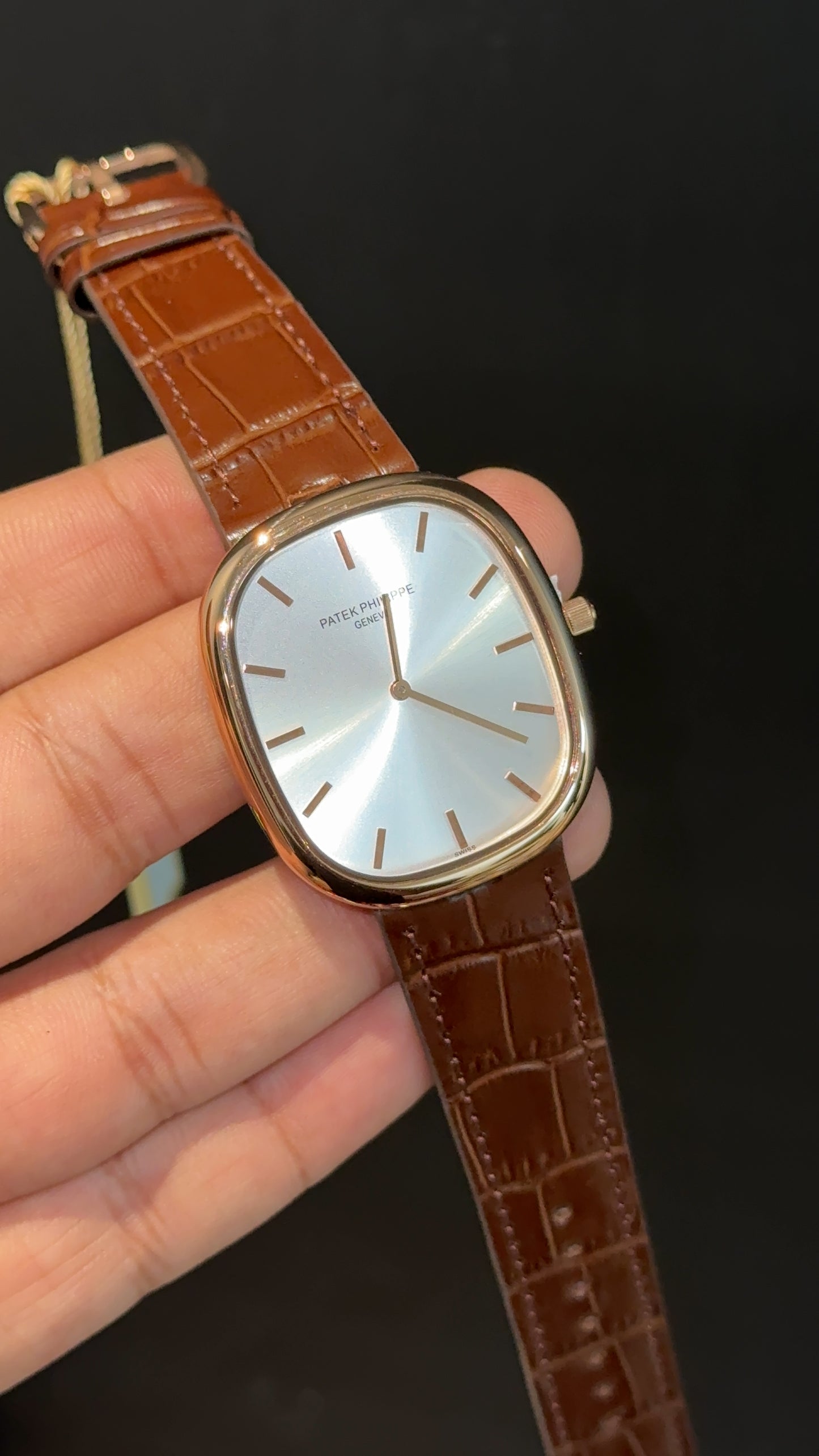 Pp Ellipse | Rose Case | Brown Leather Strap | White Ebony Dial