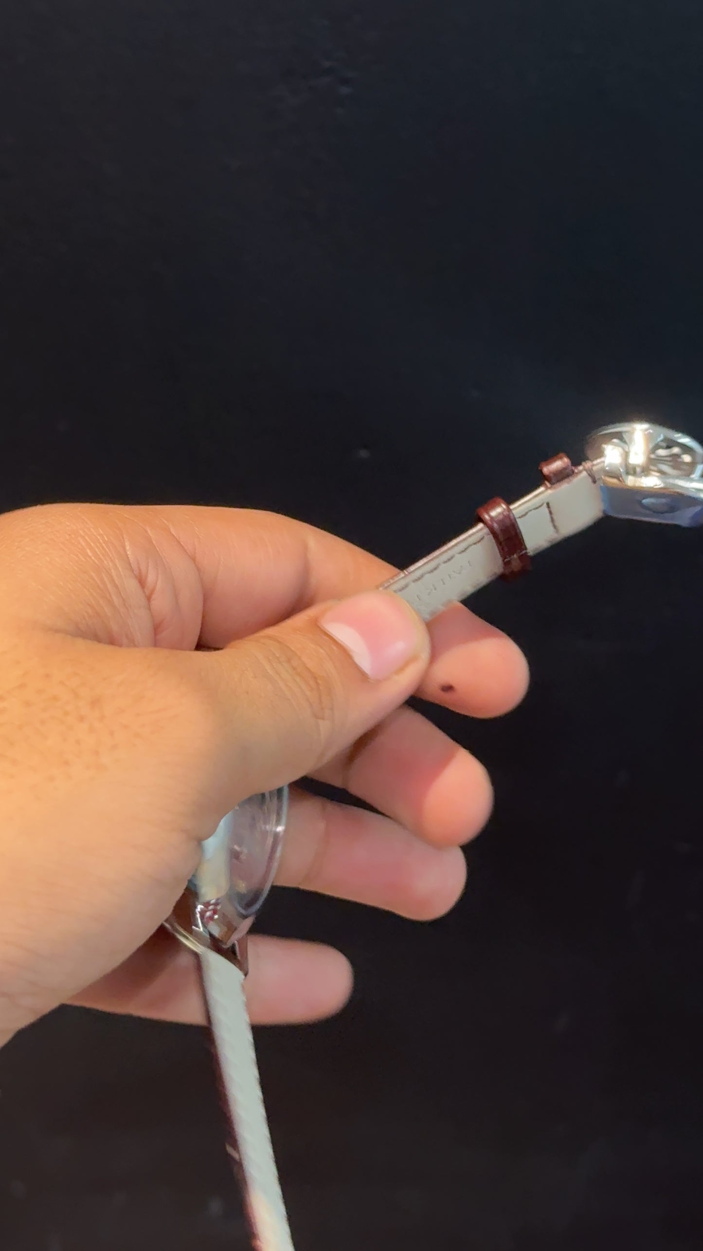 Pp Auto | Pendulum | Silver | Brown Strap | White Index Dial