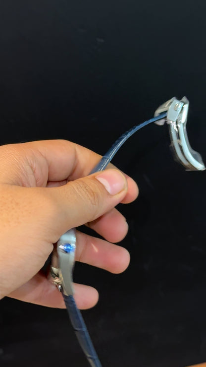 Tag Carrera | Calibre 5 | Blue Strap | DayDate | Blue Dial