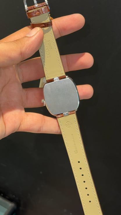 Pp Ellipse | Silver Case | Brown Leather Strap | White Ebony Dial