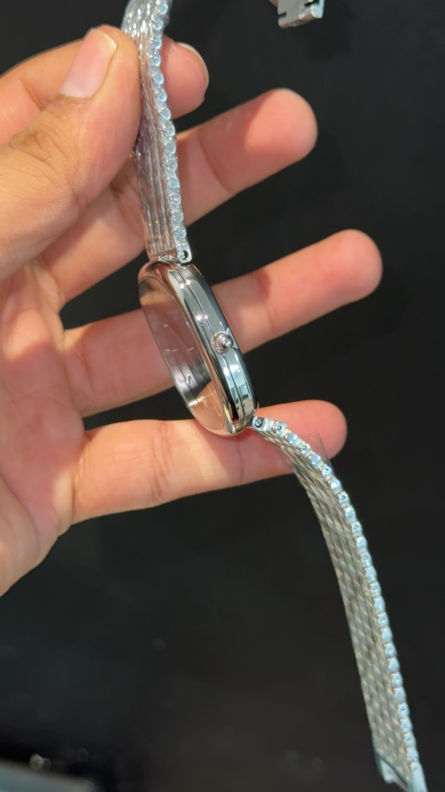 Pp Ellipse | Silver Mesh Chain | Black Ebony Dial