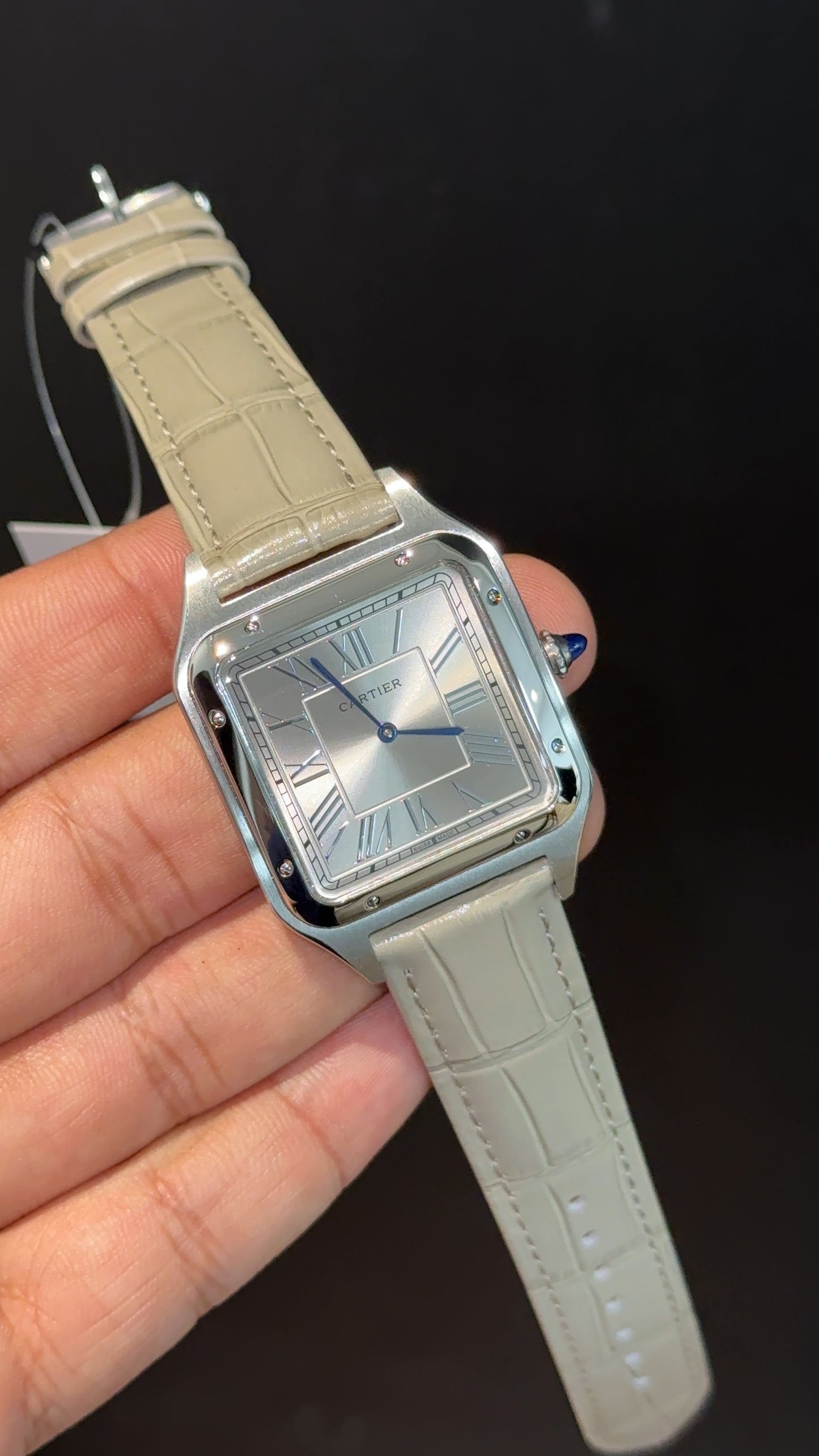Cartier Santos | Silver Case | Light Grey Dumont Strap | Greyish Dial