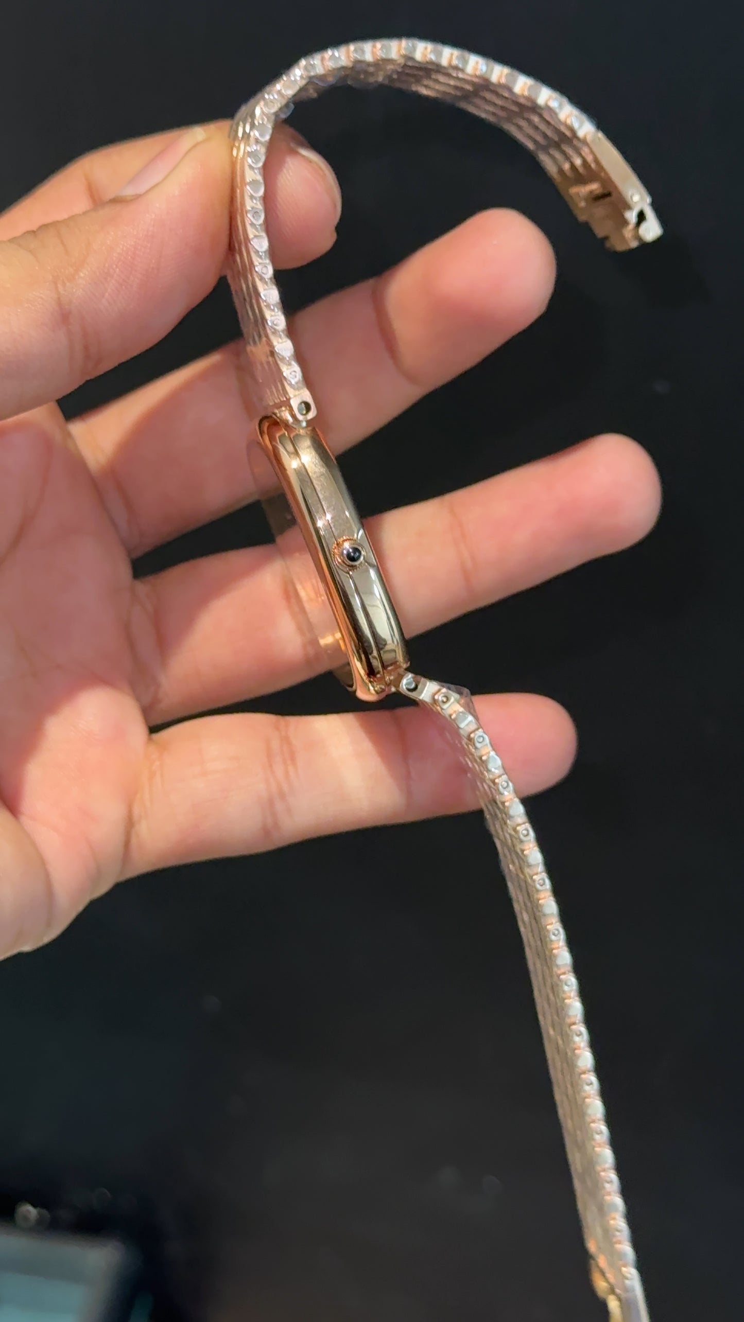 Pp Ellipse | Rose Mesh Chain | Brown Ebony Dial