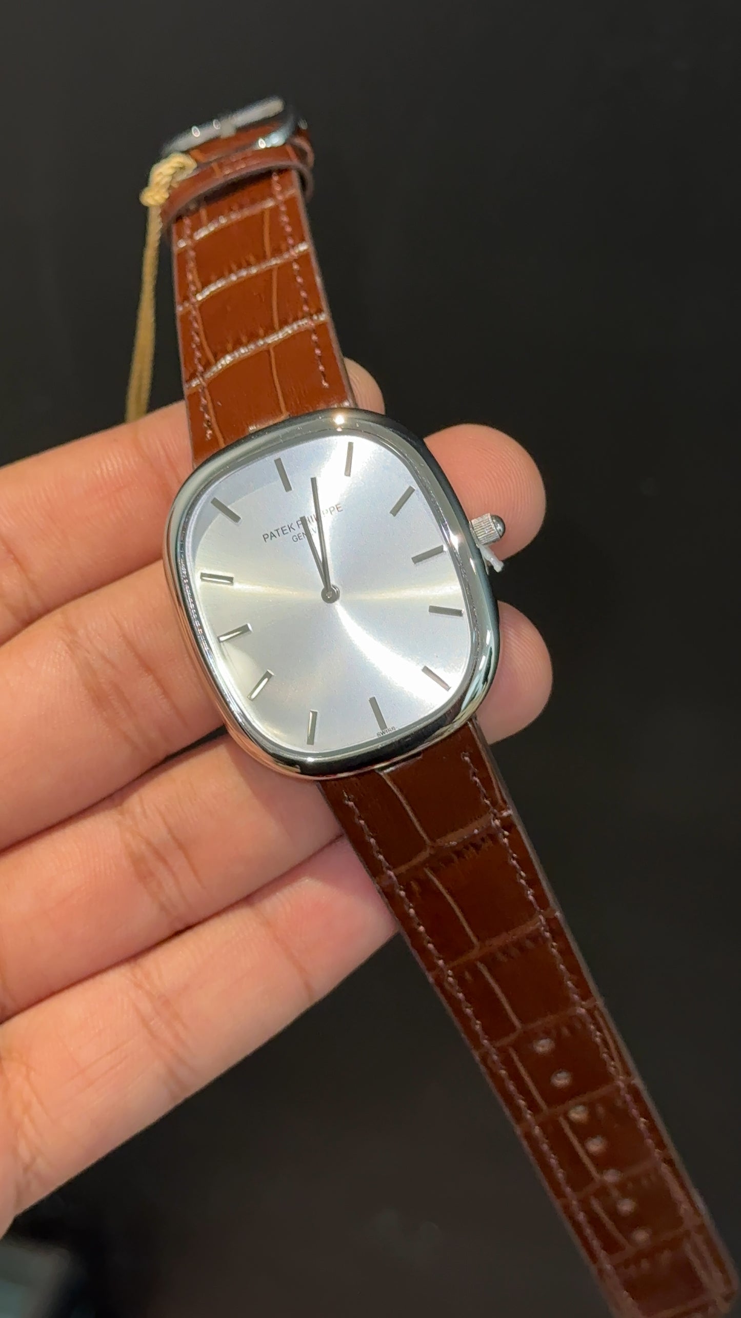 Pp Ellipse | Silver Case | Brown Leather Strap | White Ebony Dial