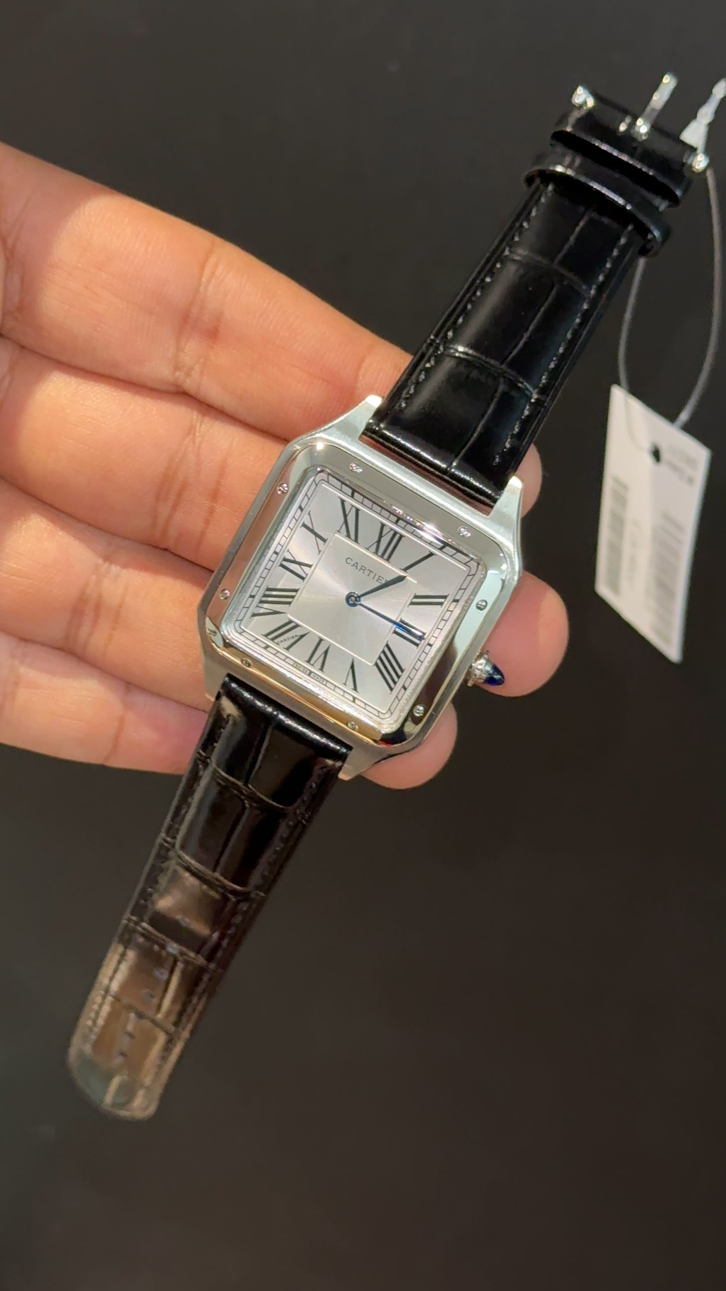 Cartier Santos | Silver Case | Black Dumont Strap | White Dial