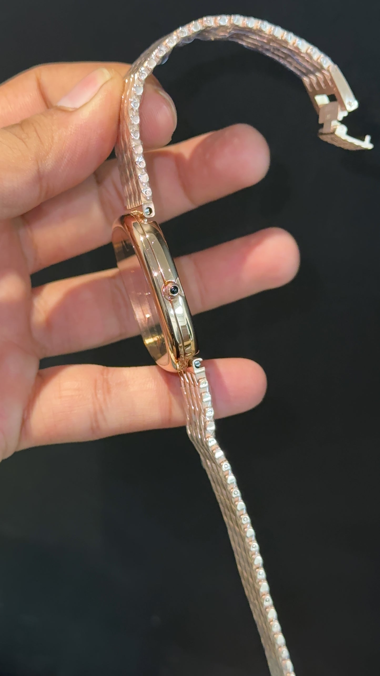 Pp Ellipse | Rose Mesh Chain | Black Ebony Dial