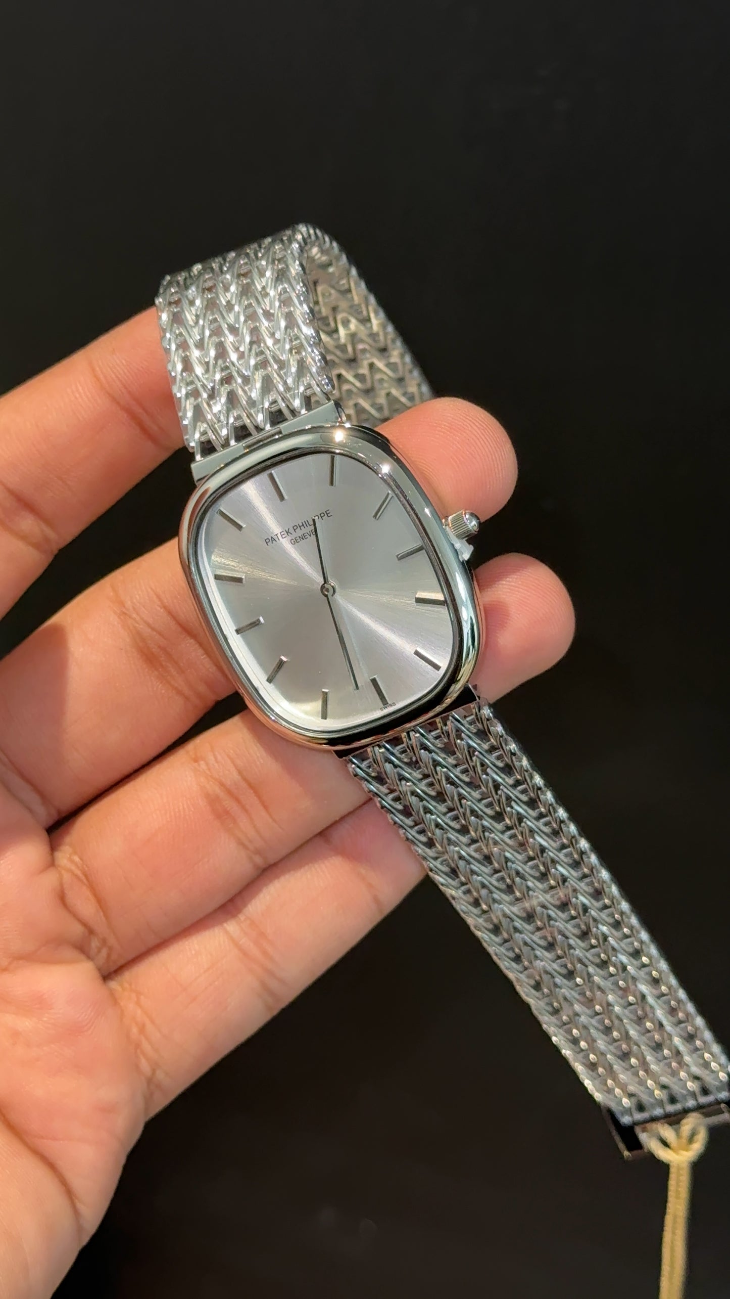 Pp Ellipse | Silver Mesh Chain | White Ebony Dial