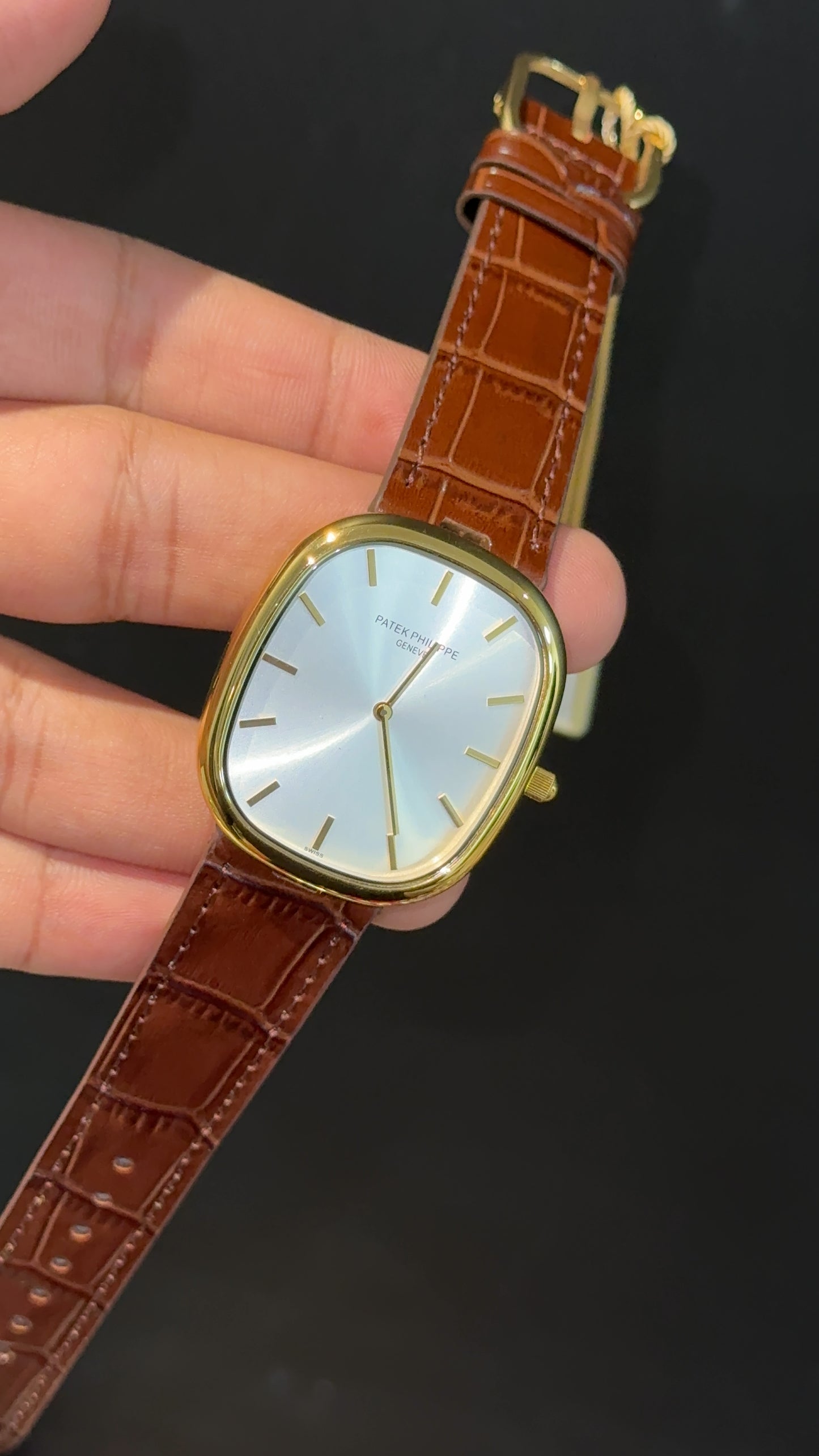 Pp Ellipse | Gold Case | Brown Leather Strap | White Ebony Dial
