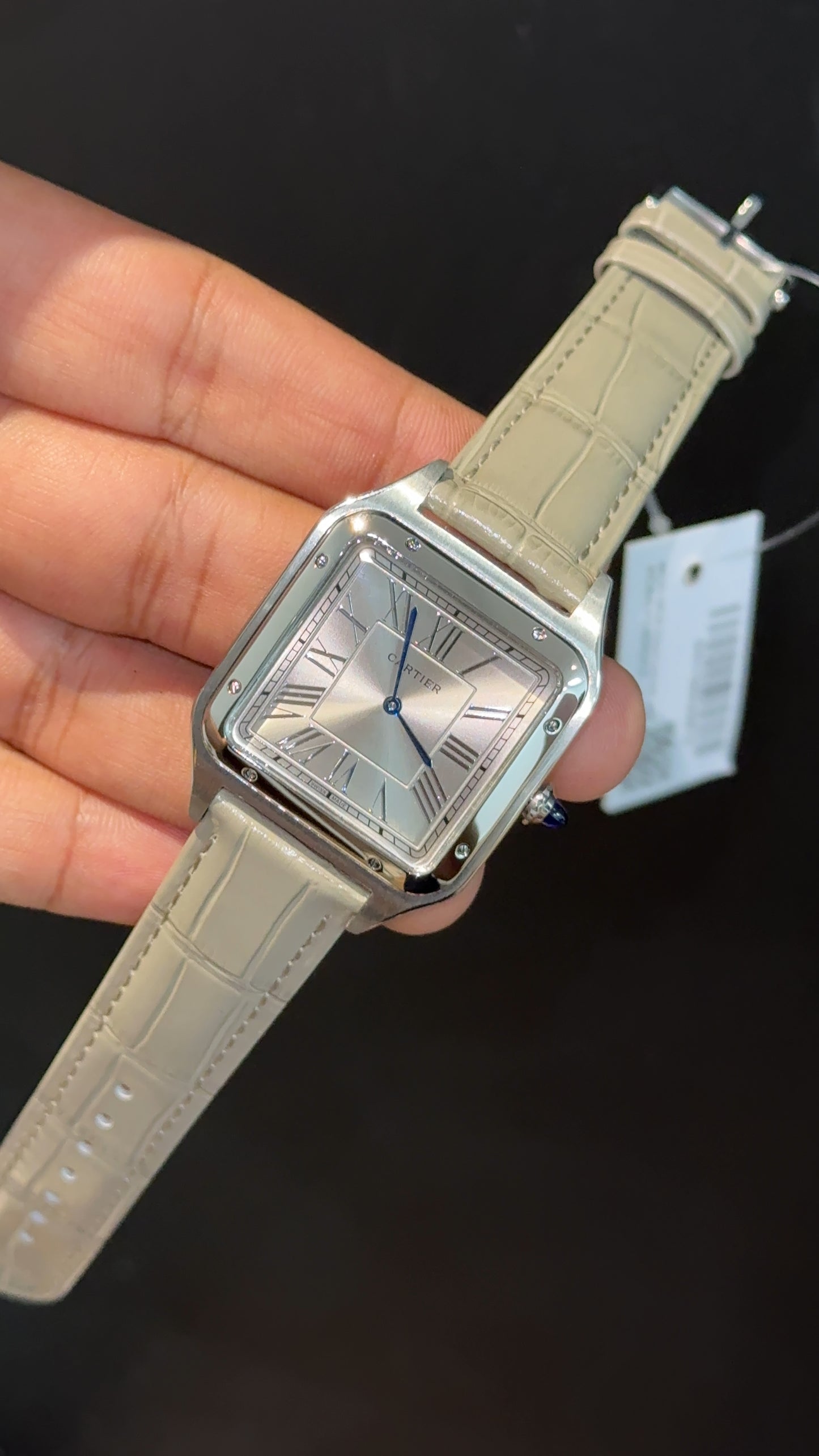 Cartier Santos | Silver Case | Light Grey Dumont Strap | Greyish Dial